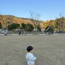 요리조리 흔들의자 이미지