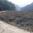 금산농장 이미지