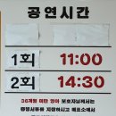 제주아트랜드 | 제주 스카이워터쇼 '부모님이 더 신나셨던 공연' 솔직후기와 꿀팁 (실내관광지로 추천)