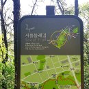 우면산둘레길 이미지