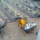 곡성-157 이미지