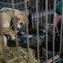 정권농장 이미지