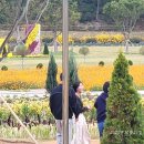 새생명 교회에서 다녀온 고창 꽃동산 나들이~~! 이미지