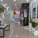 스타키보청기왜관점