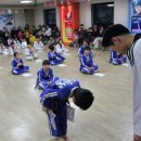 천생태권도 이미지