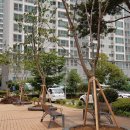 근화베아체 이미지