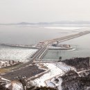 비둘기한국@ 이미지