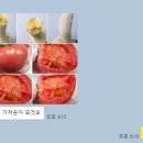 해피푸릇 이미지
