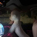 야옹아 멍멍해봐(봉명동) 이미지