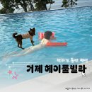 헤이풀빌라2 이미지