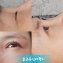 신데렐라뷰티샵 Daum카페