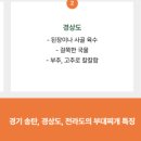 찌개의역사 - 김포시 김포한강11로 310 | 찌개의역사