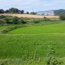 청마부동산중개 이미지