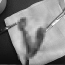 엑슬루 동물병원 이미지