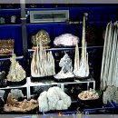 우석헌자연사박물관 이미지