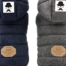 도그아이 이미지