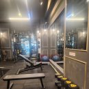 아트짐 | 운동 일기 : 풍무동 헬스장 바디아트짐 후기