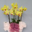 전주완산서초등학교 이미지