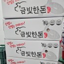 금빛한돈 이미지