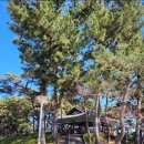 푸름공원 이미지