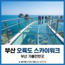 부산 여행 오륙도 스카이워크 (부산 가볼만한곳)