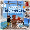 제주공항 근처 대형 소품샵! 바이제주 쇼핑 후기 ✈️🍊