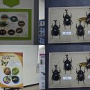 (주)충북환경