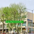 미술심리상담사(2급) 이미지