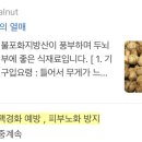 코코호도안산 이미지