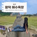 272-0530 | 제주도 함덕 해수욕장 근처 맛집 카페 주차장 노을 포토스팟