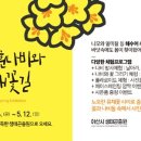 유채꽃길 이미지