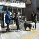 읍내동 동아아울렛 앞 네이버블로그