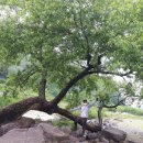 진천군 농다리 이미지