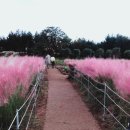 세화스테이 이미지