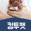 복덩이 건강센터 이미지