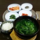 착한다슬기