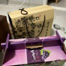 쵸코네묭실 이미지