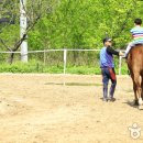 문경승마클럽 이미지