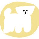 포포펫살롱 이미지