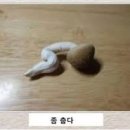 부경상사 이미지