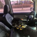 메가커피 용화점 이미지