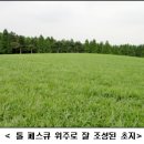 초지축산 이미지