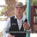 성지가 좋다 254회 : 엔게디샘 와디 아르곳 이미지