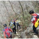 대성농장(5) 이미지