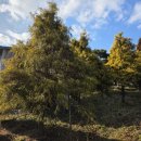 송원농원 이미지