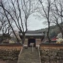 대조노인복지관 | 분홍빛 터널 끝, 고요한 대구 용연사