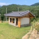 소나모나 이미지