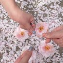 역삼중앙 이미지