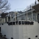 에브리선데이 커피 | 세종 연서면 카페 에브리선데이 본점 쿠키 맛집 후기