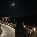 은파식당 이미지